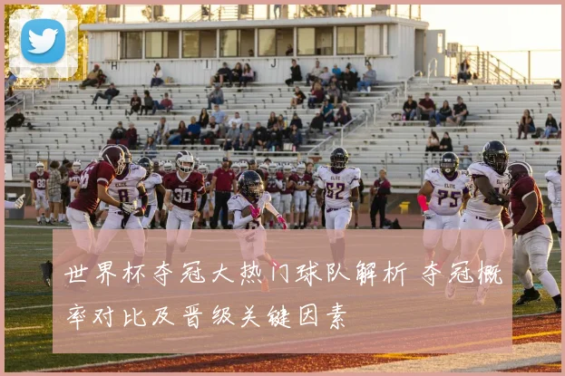 世界杯夺冠大热门球队解析 夺冠概率对比及晋级关键因素