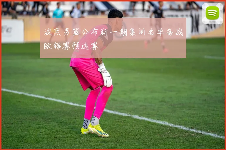 波黑男篮公布新一期集训名单备战欧锦赛预选赛