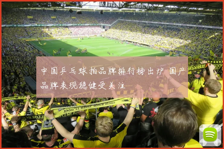中国乒乓球拍品牌排行榜出炉 国产品牌表现稳健受关注