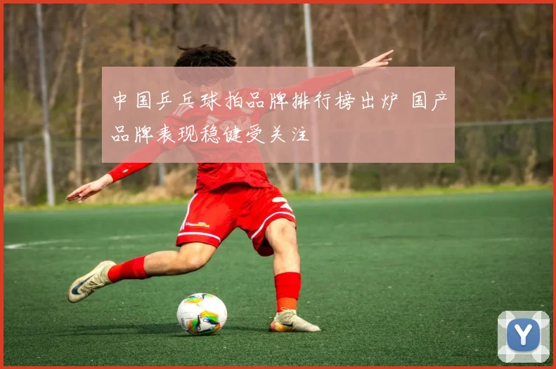 中国乒乓球拍品牌排行榜出炉 国产品牌表现稳健受关注